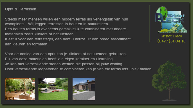 Oprit en terrassen: terrassen in hout en natuursteen, opritten in klinkers of natuursteen, met verschillende stenen en legpatronen.